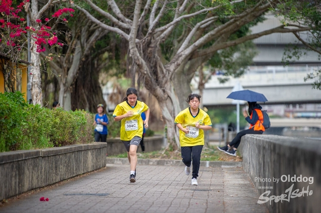 HSMC Run-247