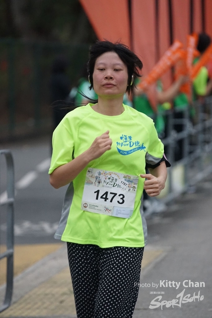 DSC07978