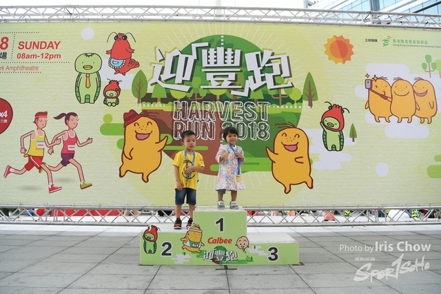 CYY_5593