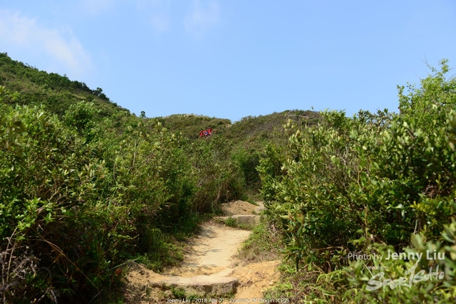 DSC_8693L