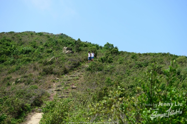 DSC_8837L
