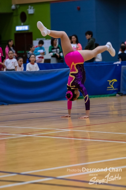 _DSC6531