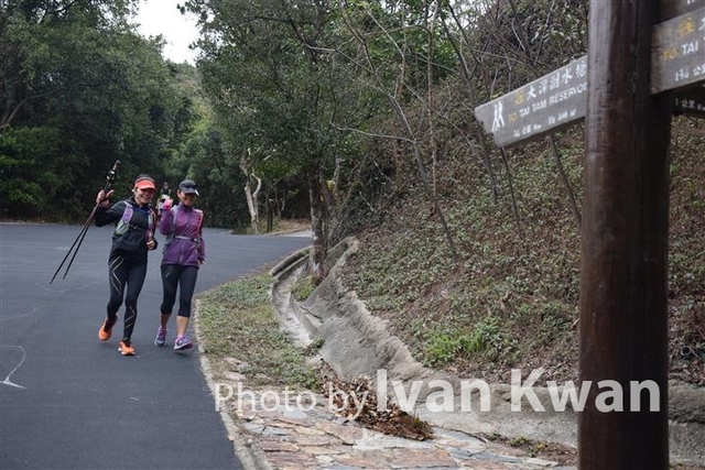 DSC_0954 (Small)
