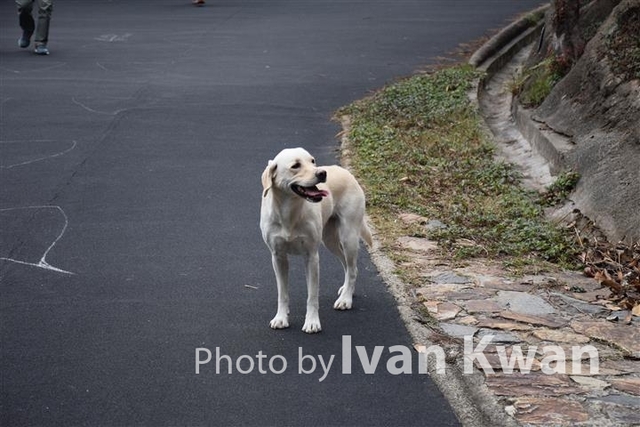 DSC_0981 (Small)