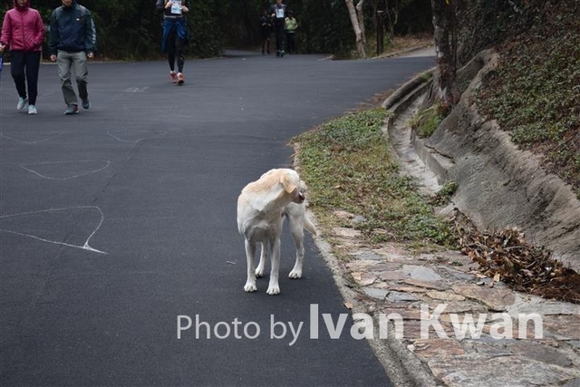 DSC_0982 (Small)