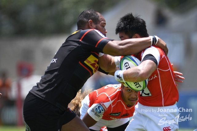 Super Rugby  (16)