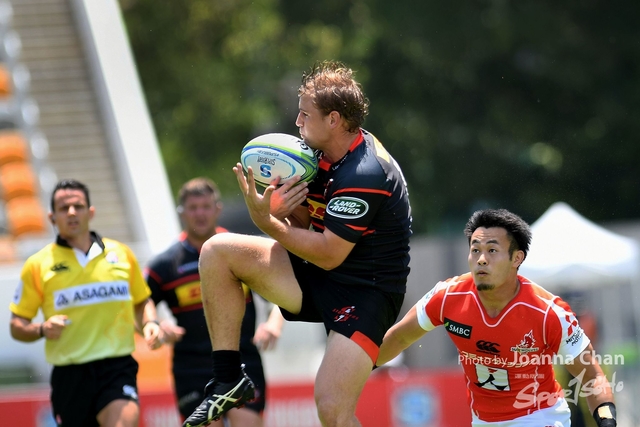 Super Rugby  (19)