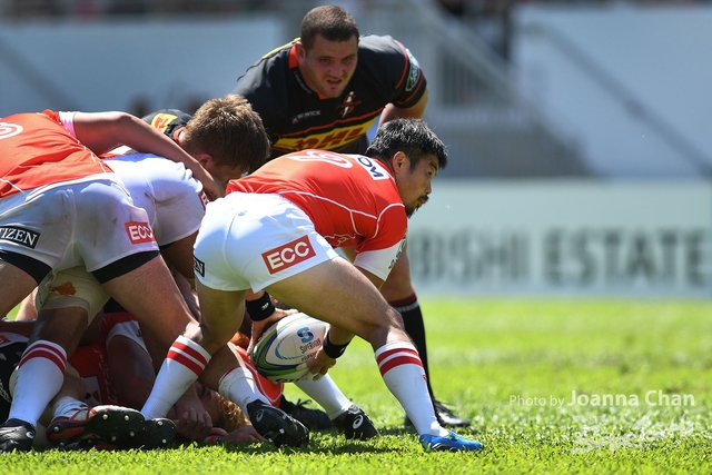 Super Rugby  (63)
