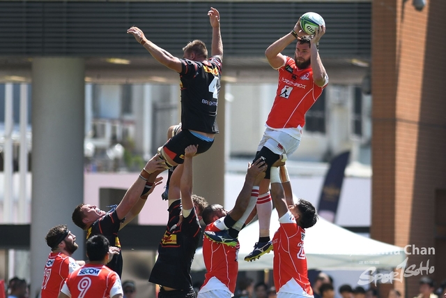 Super Rugby  (66)