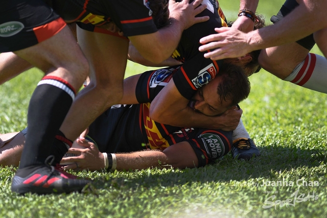 Super Rugby  (81)