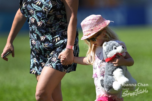 Super Rugby  (102)