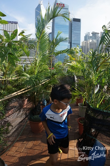 DSC00540