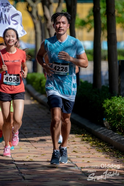 AdidasRun-120