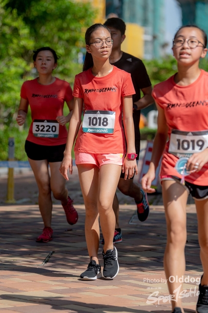 AdidasRun-212