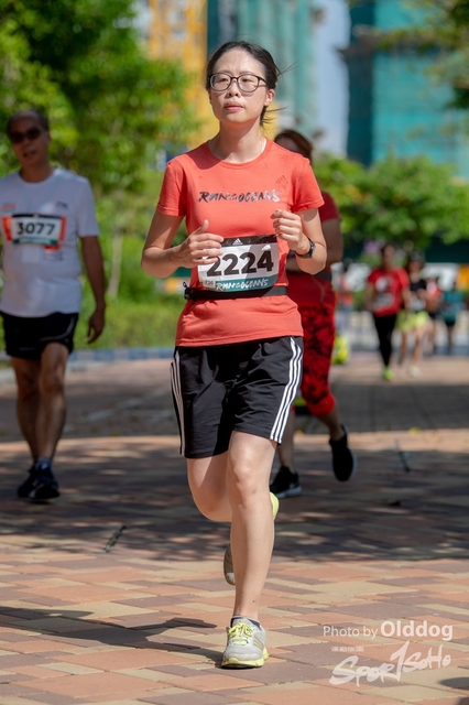 AdidasRun-225
