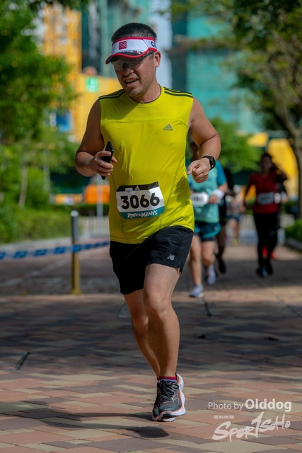 AdidasRun-229