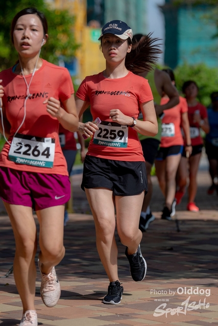 AdidasRun-243