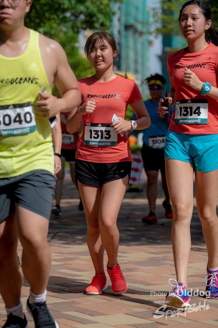 AdidasRun-245