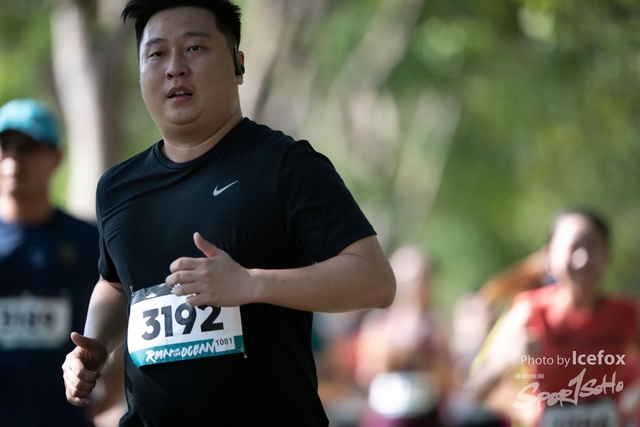 Adidas_Run (187)