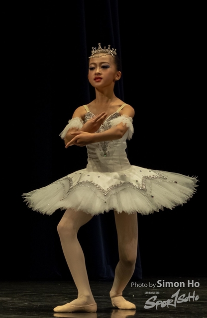 DSC08061