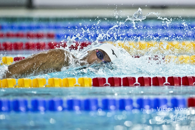 swim (84)