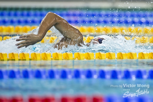 swim (85)