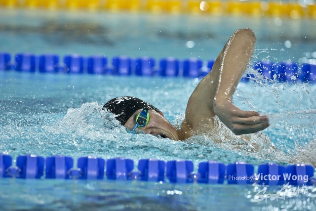swim (88)