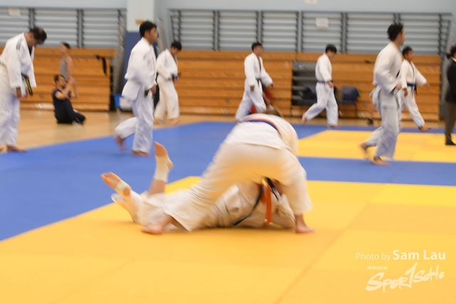 SAM_5917