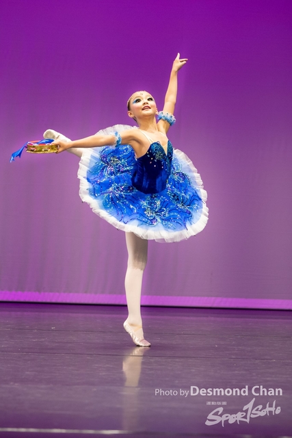 _DSC0249