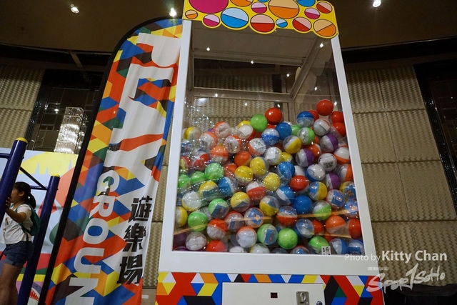 DSC07381