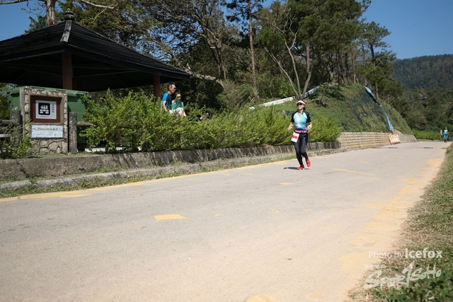 Totem_Run__238