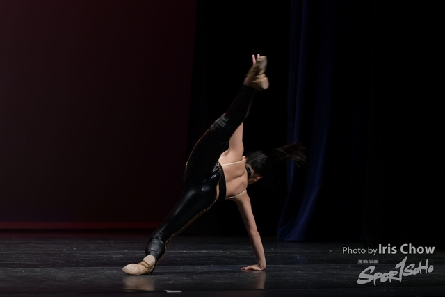 CYY_0445