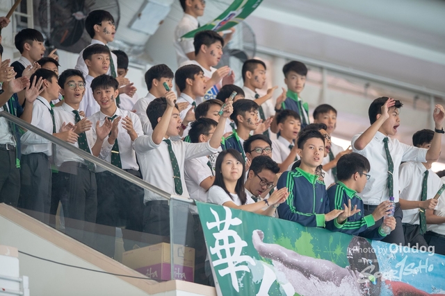 HKSSF-19