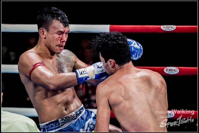 2018-10-29 Yokkao 0249