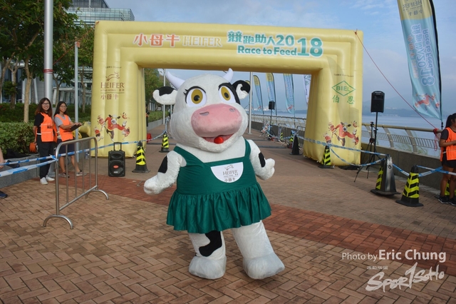 HEIFER0056