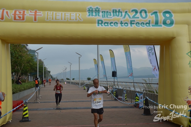 HEIFER0241