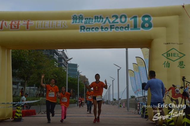 HEIFER_20180254