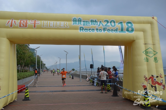 HEIFER0292