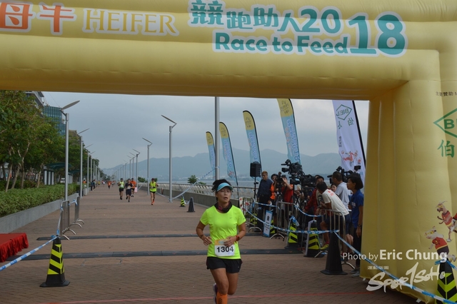 HEIFER0356