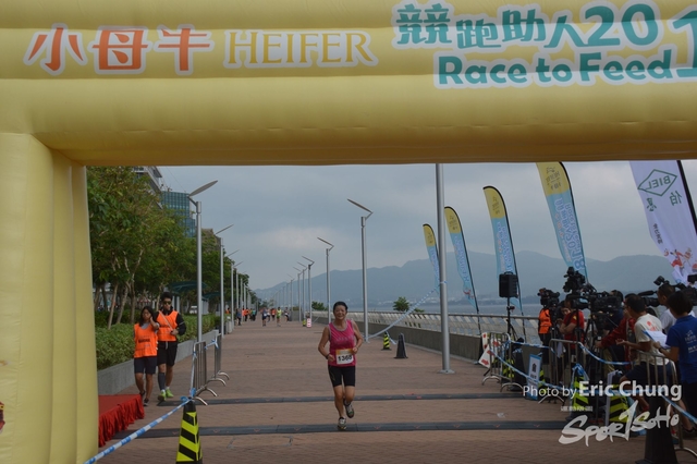 HEIFER0379