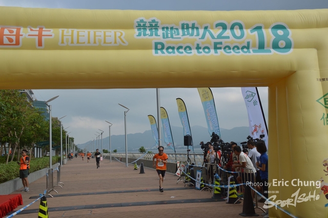 HEIFER0391