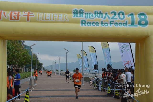 HEIFER0403