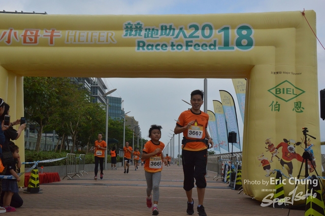 HEIFER_20180397