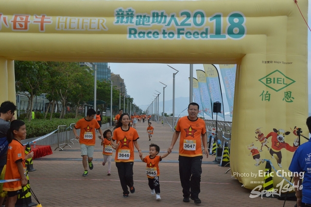 HEIFER_20180509