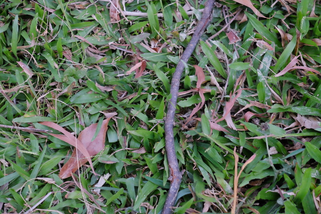 DSCF4461