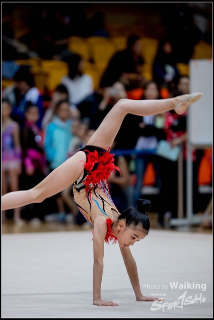 2018-11-10 Rhythmic Gym 0401