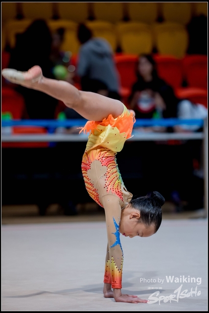 2018-11-10 Rhythmic Gym 1463