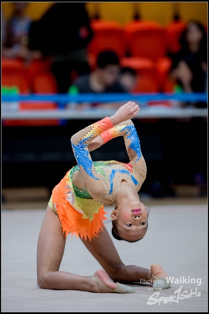2018-11-10 Rhythmic Gym 1470