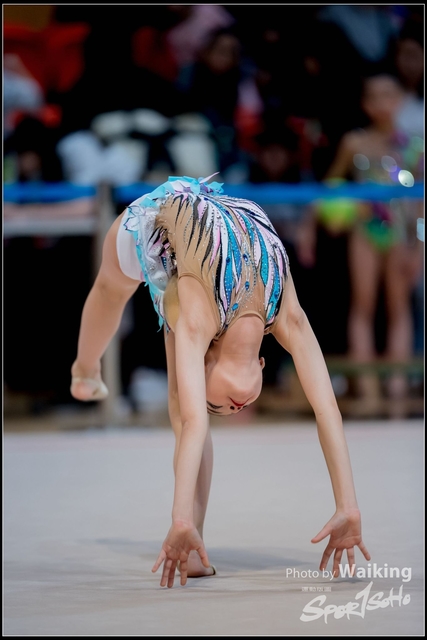 2018-11-10 Rhythmic Gym 1539