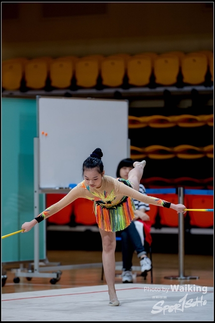 2018-11-11 Rhythmic Gym 0411